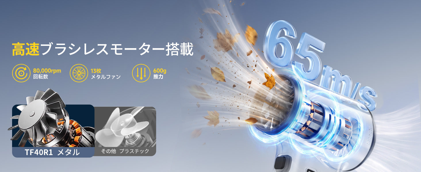 最大風速65m/s